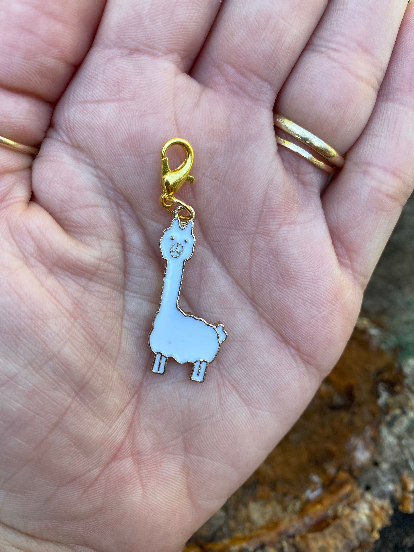 Alpaca