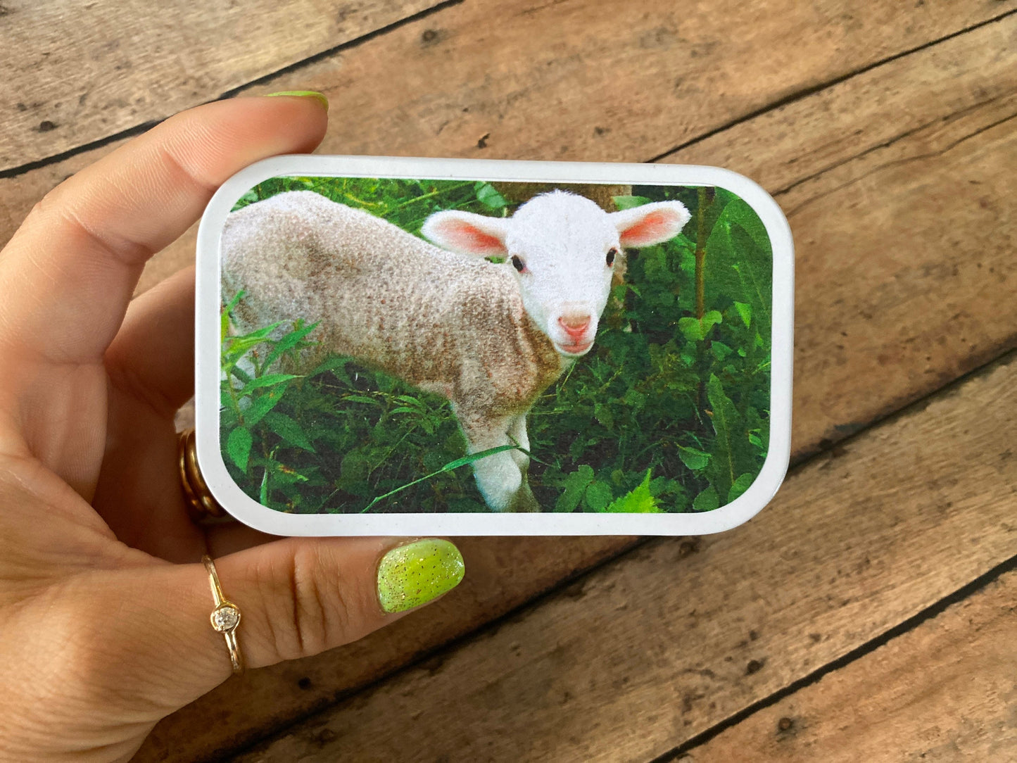 Lamb