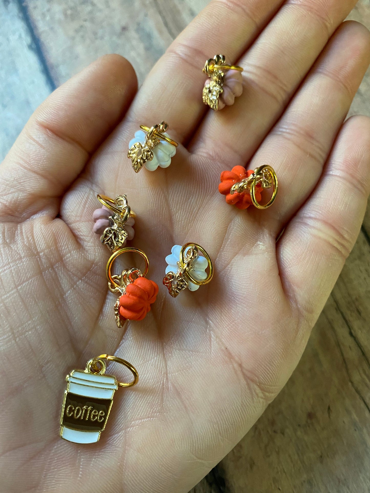 Pumpkin/Coffee Stitch Marker Pouch