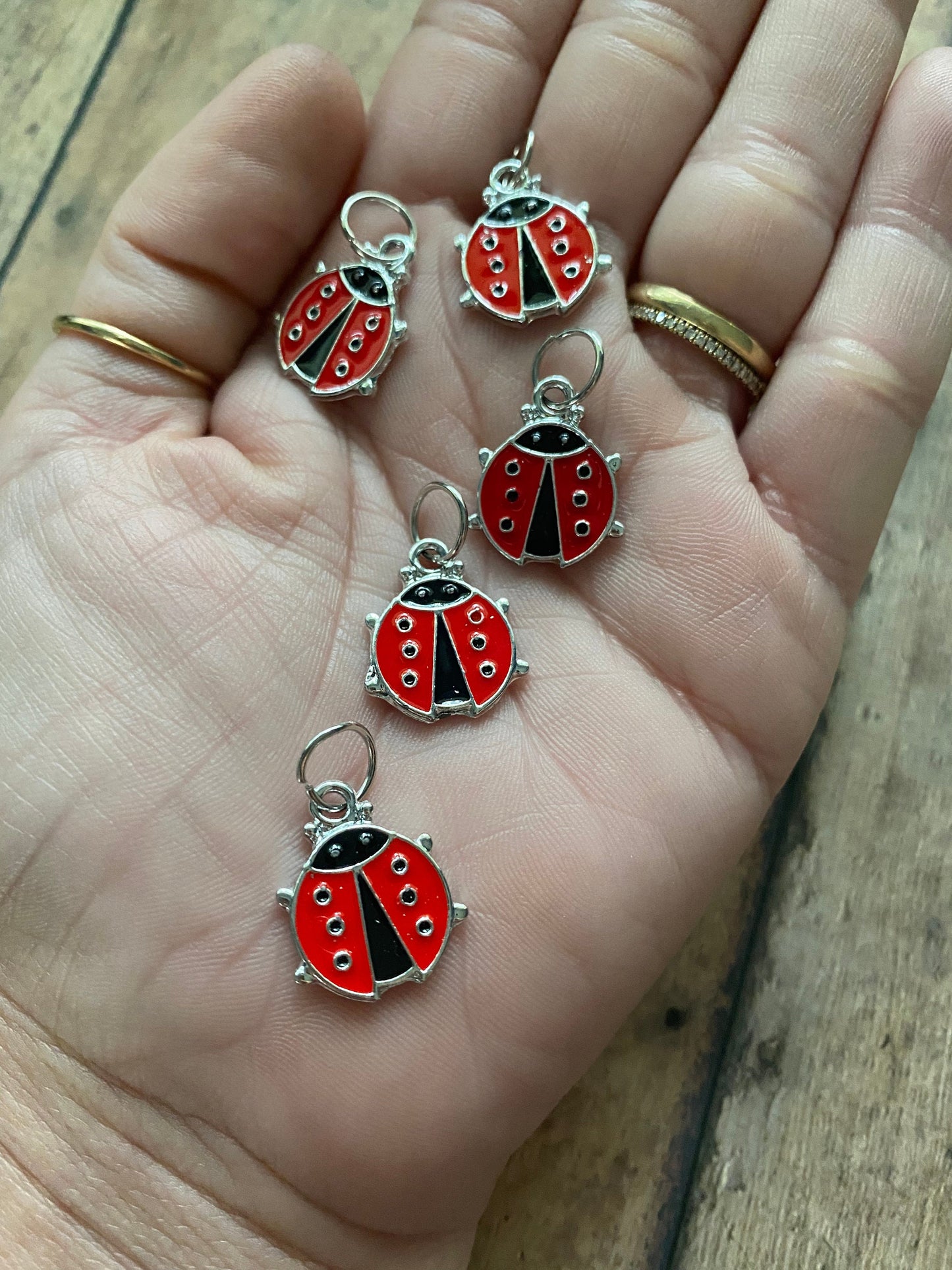 Ladybugs